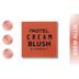 ST23040045 Pastel No:46 Profashion Cream Brush Allık 2