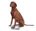 Tchibo 641630 Köpekler Için Halat Oyuncak 3
