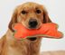Tchibo 680379 Köpek Oyuncağı Kemik 1