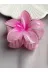 TwinsSis Store tw649294 Lotus Çiçeği Toka 6Cm 2
