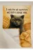 Typoniq Attitude Included TYP25101021 Miko The Cat Kedili Pamuklu 2'li Mutfak Havlusu (35X50 Cm) 4