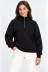 Üç İplik İçi Şardonlu Dik Yaka Yarım Fermuarlı Kışlık Sweatshirt - Siyah - L - Siyah 1