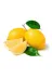 Venilia TYBAMFWG6O1EVHFY01 50 Adet Cep Ve Çanta Boy Limon Kolonyası 30 Ml 4