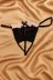 Venlisa Fiyonk Detaylı Saten G-String V6801 1