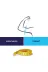 VİZOR DKMEDI12345653 - Standart Omuz Destekleyicisi (Code: 207-Unv) ( Standart Beden ) 2