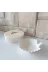 WAMMOLDS istiridyeçerezliksk İstiridye Çerezlik Silikon Kalıp 1