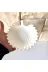 WAMMOLDS istiridyeçerezliksk İstiridye Çerezlik Silikon Kalıp 3