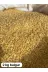 Yerli Bakliyat BAKLİYAT " 2 Kg Bulgur 2 Kg Prinç 1 Kg Şehriye 2