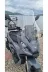Yuki Xway 125 Ön Cam 2023-2026 Model 65cm Şeffaf Renkli 4mm ORTA BOYLU 2